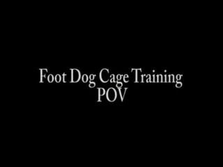 нога собаки клетка тренировка POV