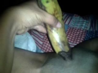 Chiriqui chiricana Banano